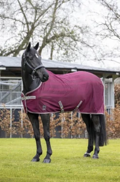 LeMieux Arika Air-Tek Sheet Rug Burgundy