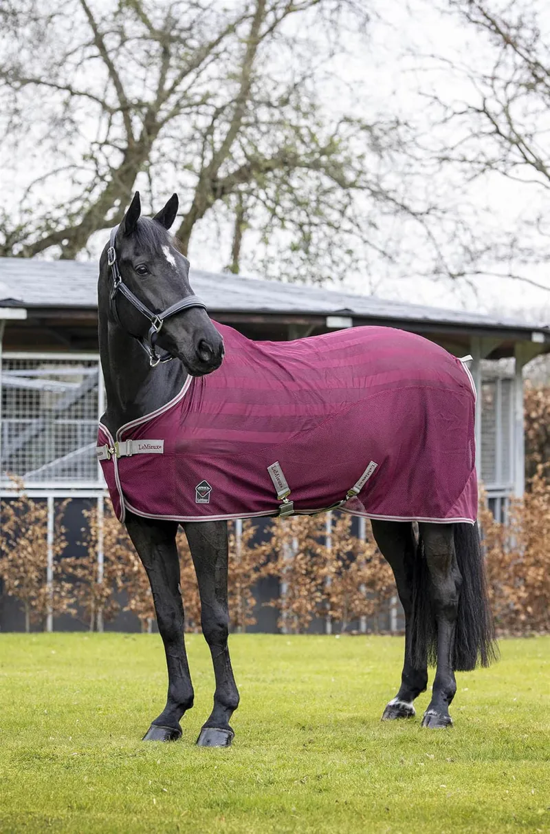 LeMieux Arika Air-Tek Sheet Rug Burgundy 1 LeMieux Arika Air-Tek Sheet Rug Burgundy