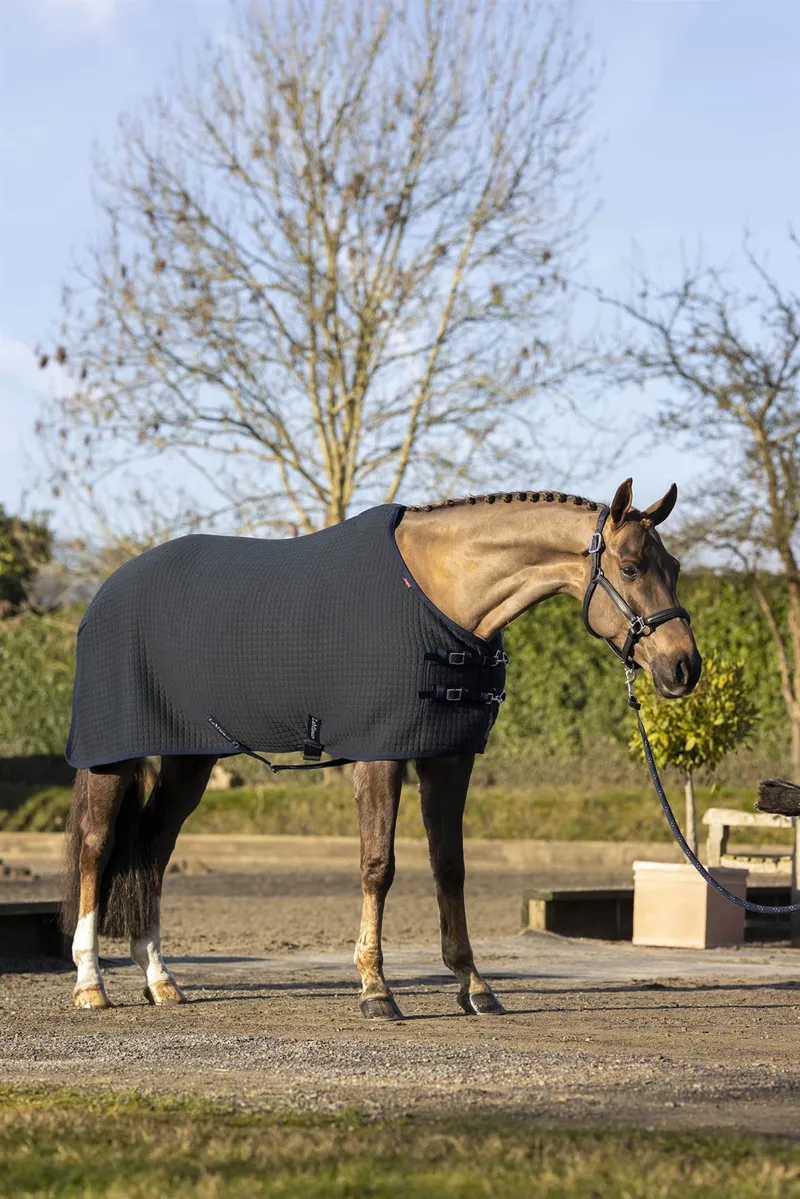 LeMieux Arika Clima-Tek Rug Navy 8 LeMieux Arika Clima-Tek Rug Navy - Image 8