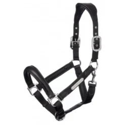 LeMieux Capella Headcollar Black