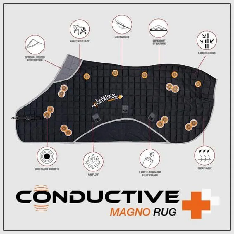 LeMieux Conductive Magno Rug 5 LeMieux Conductive Magno Rug - Image 5