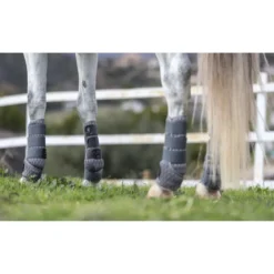 LeMieux Gladiator Mesh Fly Boots -Lemieux Shop LeMieux Gladiator Mesh Fly Boots 3