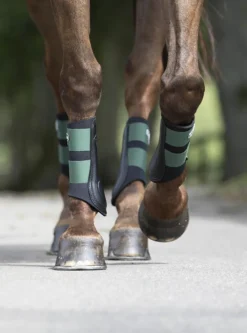 LeMieux Grafter Brushing Boot Hunter Green -Lemieux Shop LeMieux Grafter Brushing Boots Hunter Green 4