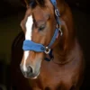 LeMieux Vogue Headcollar Atlantic
