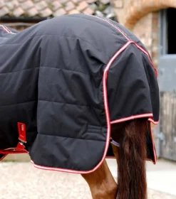 Premier Equine Lucanta Demi Stable Rug 200g Black -Lemieux Shop Lucanta Demi Stable Rug 200 Black 6
