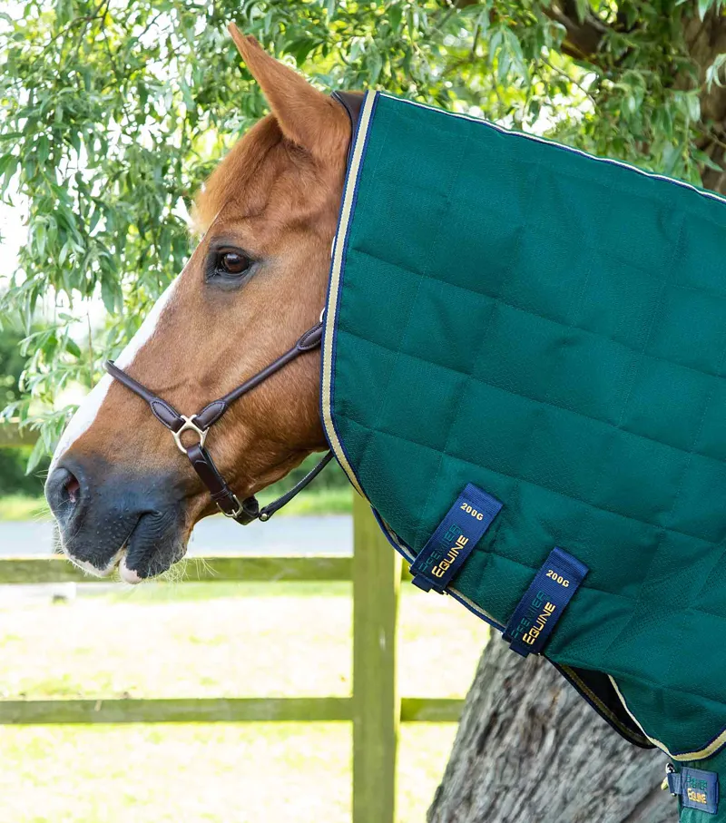 Premier Equine Lucanta 200g Stable Rug With Neck Cover Green 2 Premier Equine Lucanta 200g Stable Rug With Neck Cover Green - Image 2
