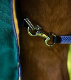 Premier Equine Lucanta 200g Stable Rug With Neck Cover Green 10 Premier Equine Lucanta 200g Stable Rug With Neck Cover Green -Lemieux Shop Lucanta Stable Green Image 5 RGB