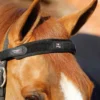 Premier Equine Magni-Teque Magnetic Browband Black