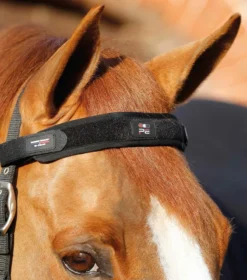 Premier Equine Magni-Teque Magnetic Browband Black