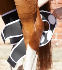 Premier Equine Magni-Teque Magnetic Hock Boots Black 5 Premier Equine Magni-Teque Magnetic Hock Boots Black -Lemieux Shop Magni Teque Magnet Hock Boots 3