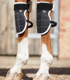 Premier Equine Magni-Teque Magnetic Knee Boots Black