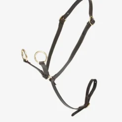 LeMieux Toy Pony Martingale Brown