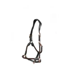 Cameo Anatomic Leather Headcollar Brown