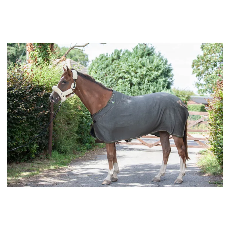 EcoRider Bamboo Show Rug - Olive 1 EcoRider Bamboo Show Rug - Olive