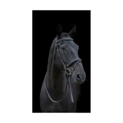 Cameo Classic Padded Bridle With Reins Black