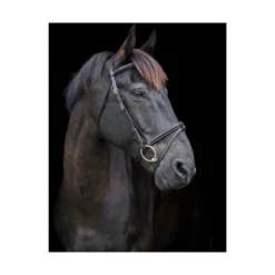 EcoRider Classic Comfort Bridle - Brown