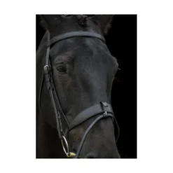 EcoRider Classic Show Comfort Bridle - Brown -Lemieux Shop P CLA SHO COM BRI ECO044 04
