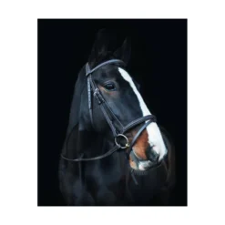 Cameo Anatomic Comfort Bridle With Sure Grip Reins Black -Lemieux Shop P COR COL ANA BRI WIT SUR GRI REI c232 04 2