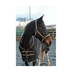 Cameo Cooler Rug - Black-Gold -Lemieux Shop P COR COL COO C119 C543 02