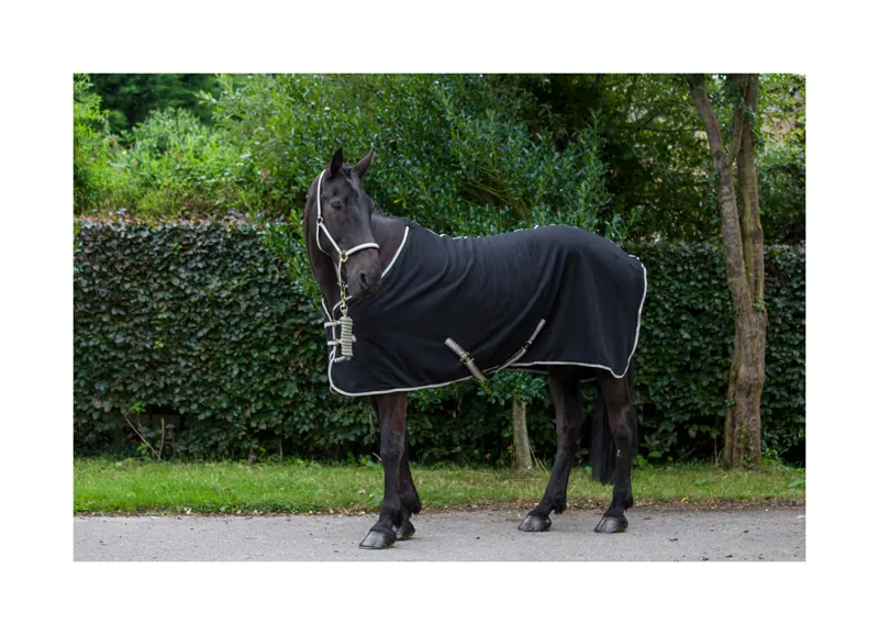 Cameo Fleece Rug - Black-Gold 2 Cameo Fleece Rug - Black-Gold - Image 2