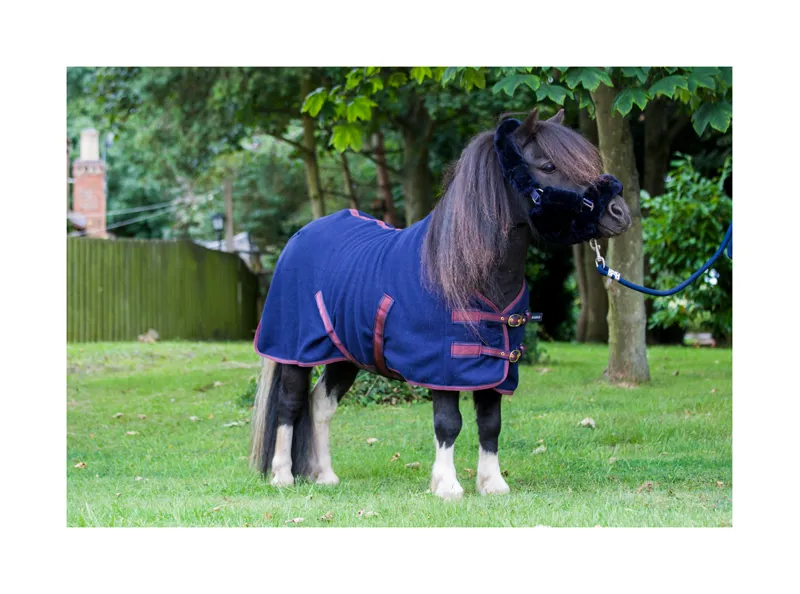 Cameo Fleece Rug - Navy-Burgundy 2 Cameo Fleece Rug - Navy-Burgundy - Image 2