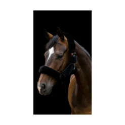 Cameo Deluxe Headcollar - Black
