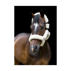 Cameo Deluxe Headcollar - Cream -Lemieux Shop P DEL HEA COL WIT ROP C504 11