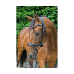 EcoRider Ecosoft Acclaim Bridle - Black