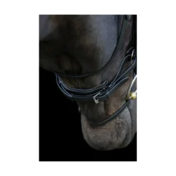 EcoRider Ecosoft Enigma Bridle - Black -Lemieux Shop P ECO ENI BRI ECO601 04