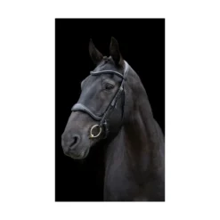 EcoRider Ecosoft Enigma Bridle - Black -Lemieux Shop P ECO ENI BRI ECO601 06