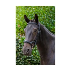EcoRider Ecosoft Finesse Bridle - Black