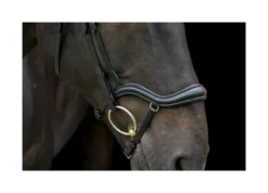 EcoRider Ecosoft Finesse Bridle - Black -Lemieux Shop P ECO FIN BRI ECO603 03