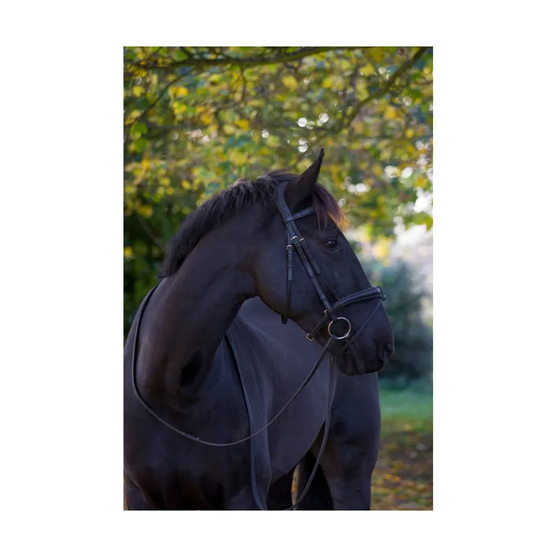 EcoRider Ecosoft Luxe Bridle - Brown 1 EcoRider Ecosoft Luxe Bridle - Brown