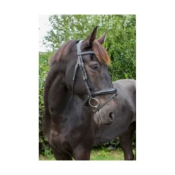 EcoRider Ecosoft Luxe Bridle - Brown 5 EcoRider Ecosoft Luxe Bridle - Brown -Lemieux Shop P ECO LUX BRI eco007 07 2