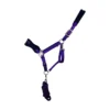 Cameo Elite Headcollar And Rope - Purple-Navy - Cob