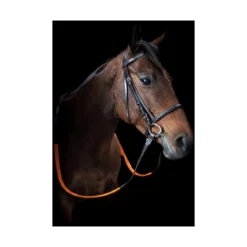 Cameo Exercise Bridle With Orange Grip Reins - Brown - One Size