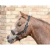 Cameo Fieldsafe Headcollar - Black-Reflective