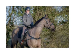 EcoRider Freedom Breastplate - Brown -Lemieux Shop P FRE BRE eco012 06 2