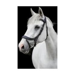 EcoRider Freedom Comfort Bridle - Brown