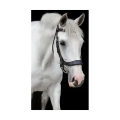 EcoRider Freedom Comfort Bridle - Black -Lemieux Shop P FRE COM BRI ECO006 04