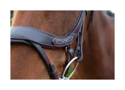 EcoRider Freedom Comfort Bridle - Brown -Lemieux Shop P FRE COM BRI ECO006 05