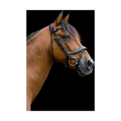 EcoRider Freedom Comfort Bridle - Black -Lemieux Shop P FRE COM BRI ECO006 07