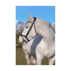 EcoRider Freedom Comfort Bridle - Black -Lemieux Shop P FRE COM BRI eco006 12