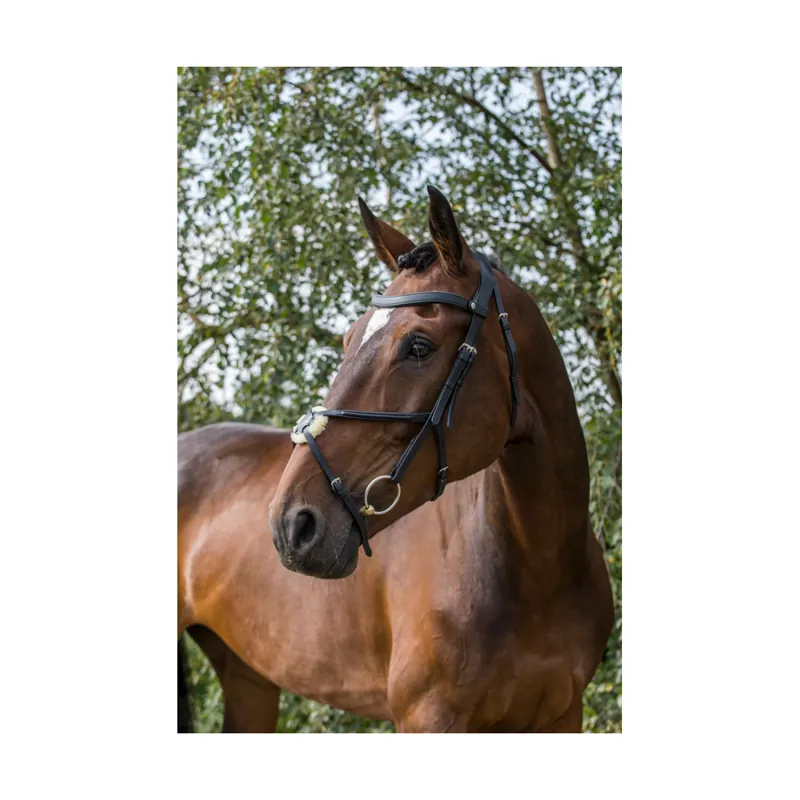 EcoRider Freedom Grackle Bridle - Black 3 EcoRider Freedom Grackle Bridle - Black - Image 3