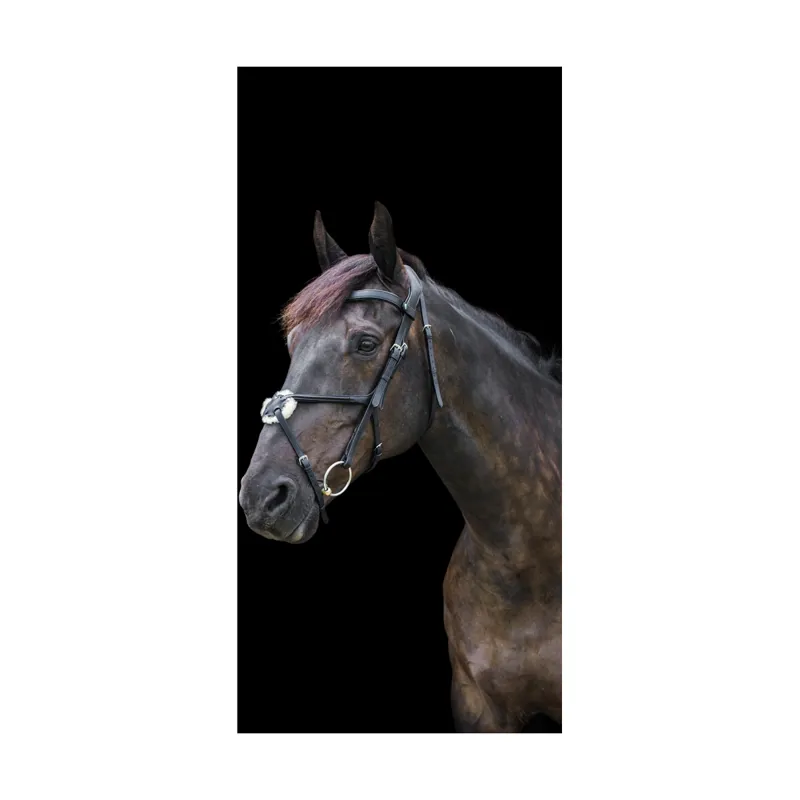 EcoRider Freedom Grackle Bridle - Black 4 EcoRider Freedom Grackle Bridle - Black - Image 4