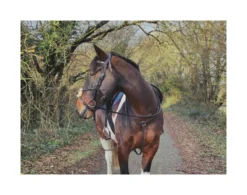 EcoRider Freedom Grackle Bridle - Brown -Lemieux Shop P FRE GRA BRI ECO015 08