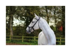 EcoRider Freedom Jump Bridle - Black -Lemieux Shop P FRE JUM BRI eco001 04