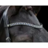 EcoRider Freedom Sapphire Browband - Brown