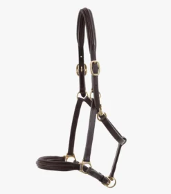 Premier Equine Padded Leather Headcollar Brown 3 Premier Equine Padded Leather Headcollar Brown -Lemieux Shop Padded Leather Head Collar Brown 2
