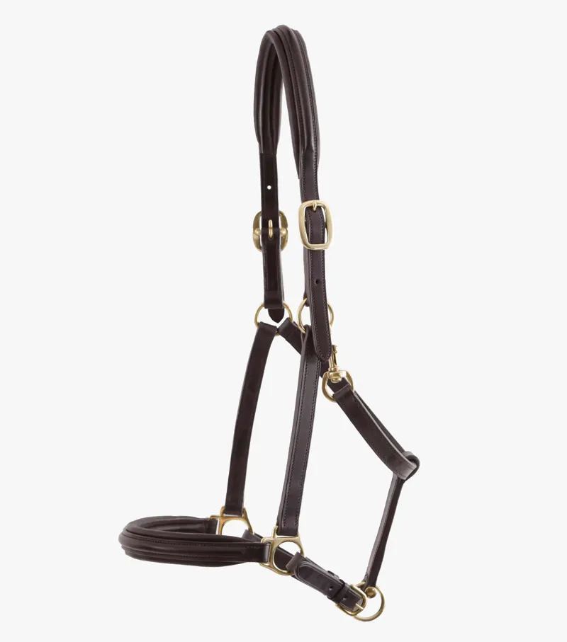Premier Equine Padded Leather Headcollar Brown 2 Premier Equine Padded Leather Headcollar Brown - Image 2
